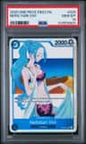 Nefeltari Vivi