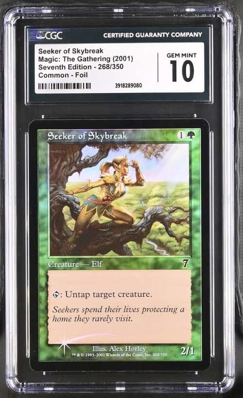 Seeker Of Skybreak