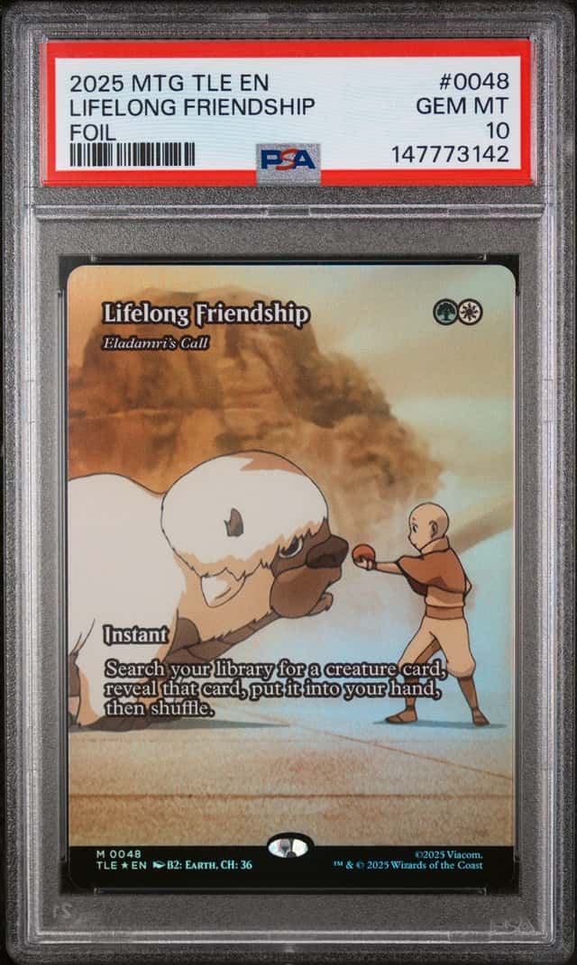 Lifelong Friendship
