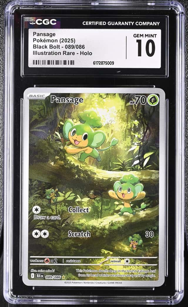Pansage