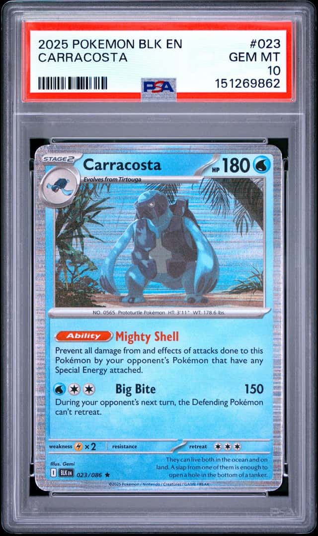 Carracosta