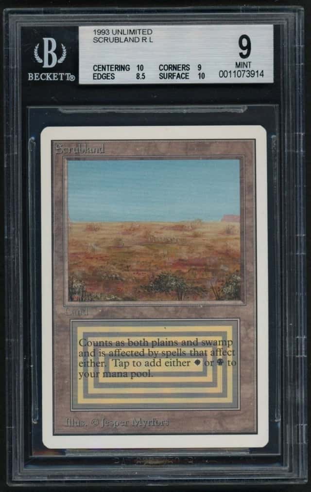Scrubland R :L: