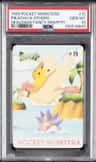 Pikachu & Others