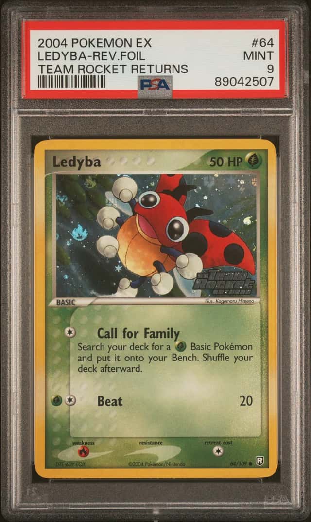 Ledyba