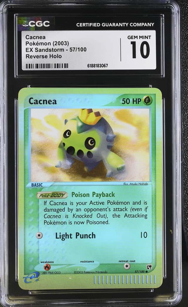 Cacnea