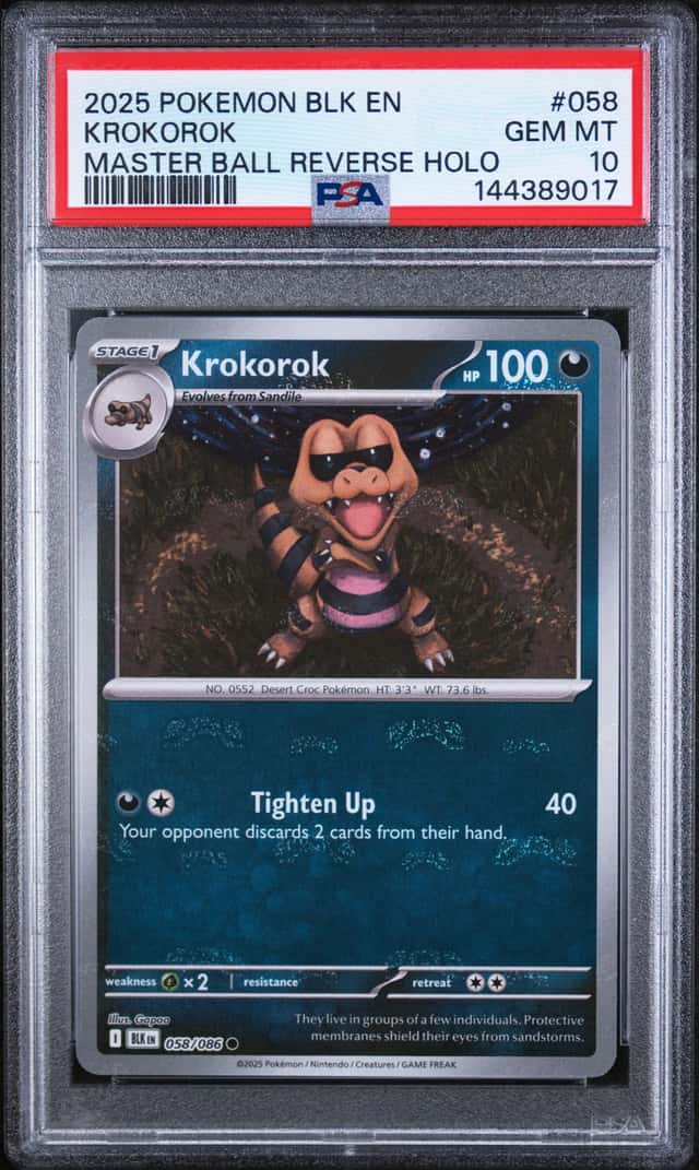 Krokorok