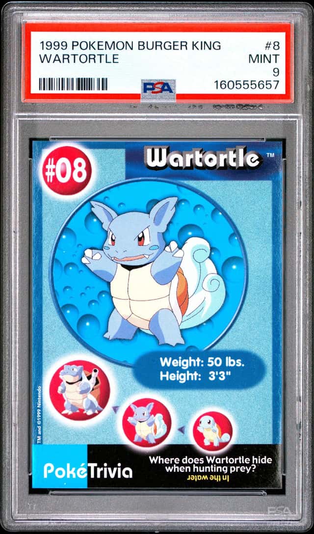 Wartortle