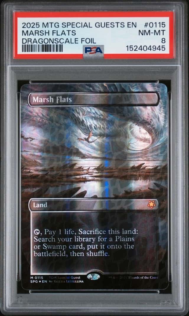 Marsh Flats