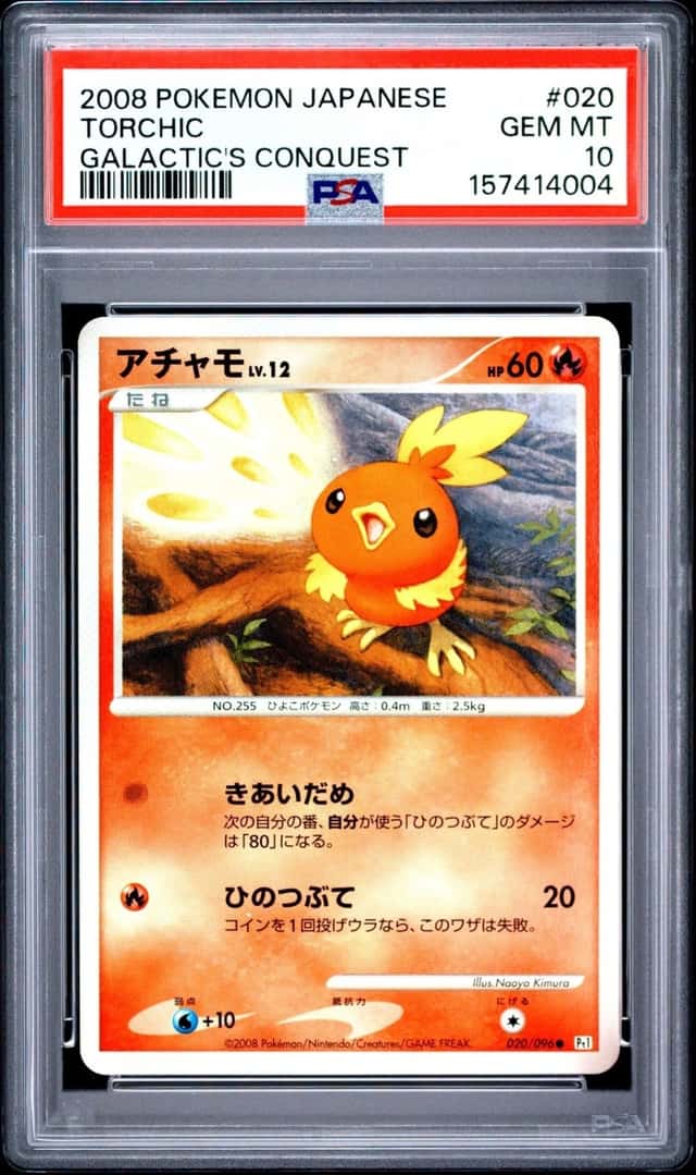 Torchic