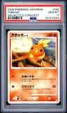 Torchic