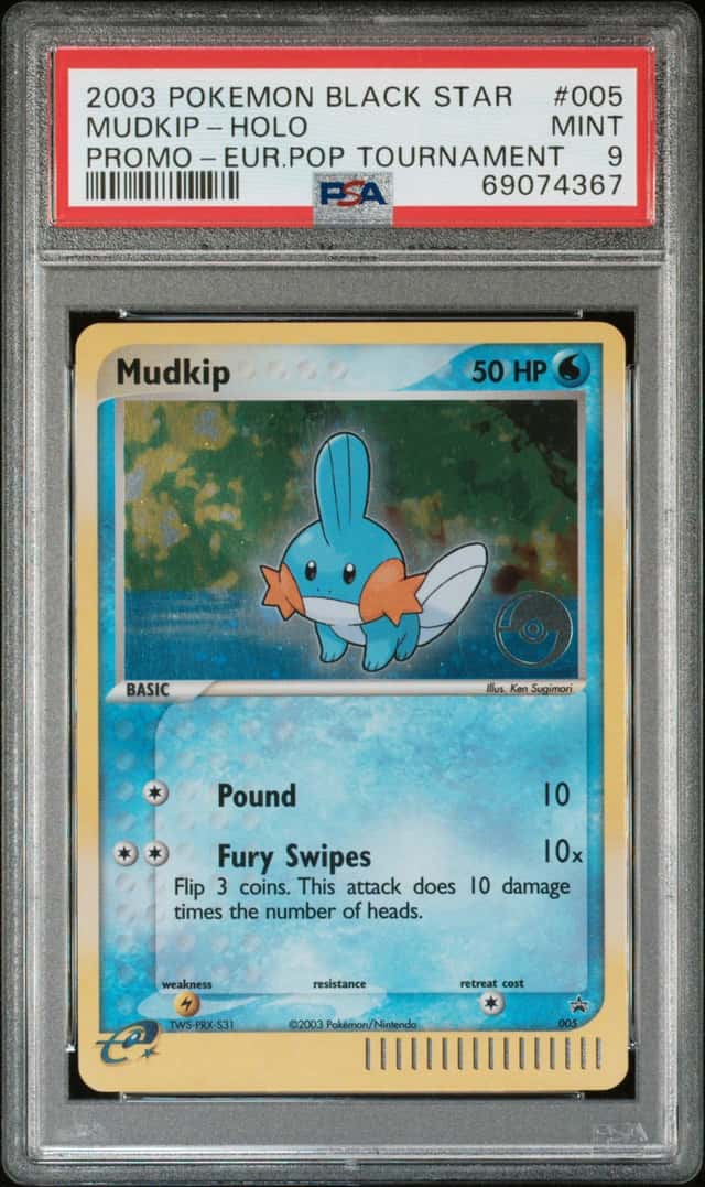 Mudkip