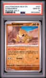 Sandshrew