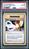 Pidgeot Spirit Link