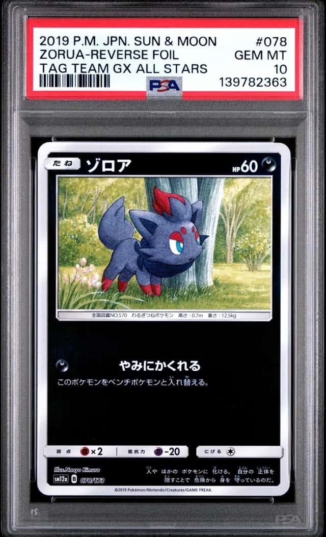 Zorua