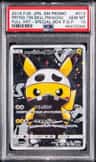 Pretend Team Skull Pikachu