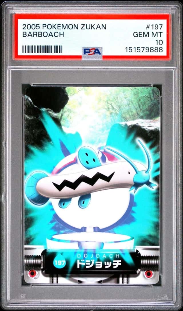Barboach