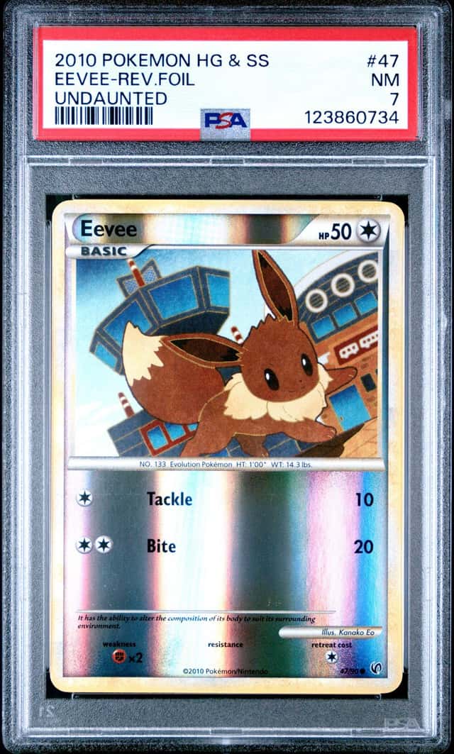 Eevee