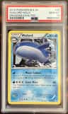 Wailord
