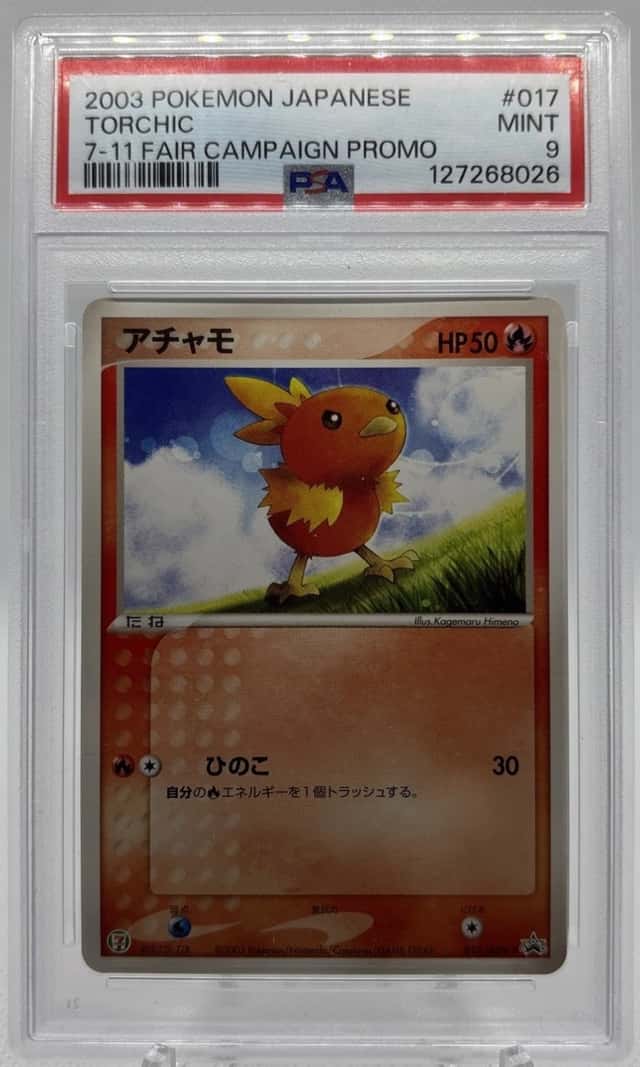 Torchic