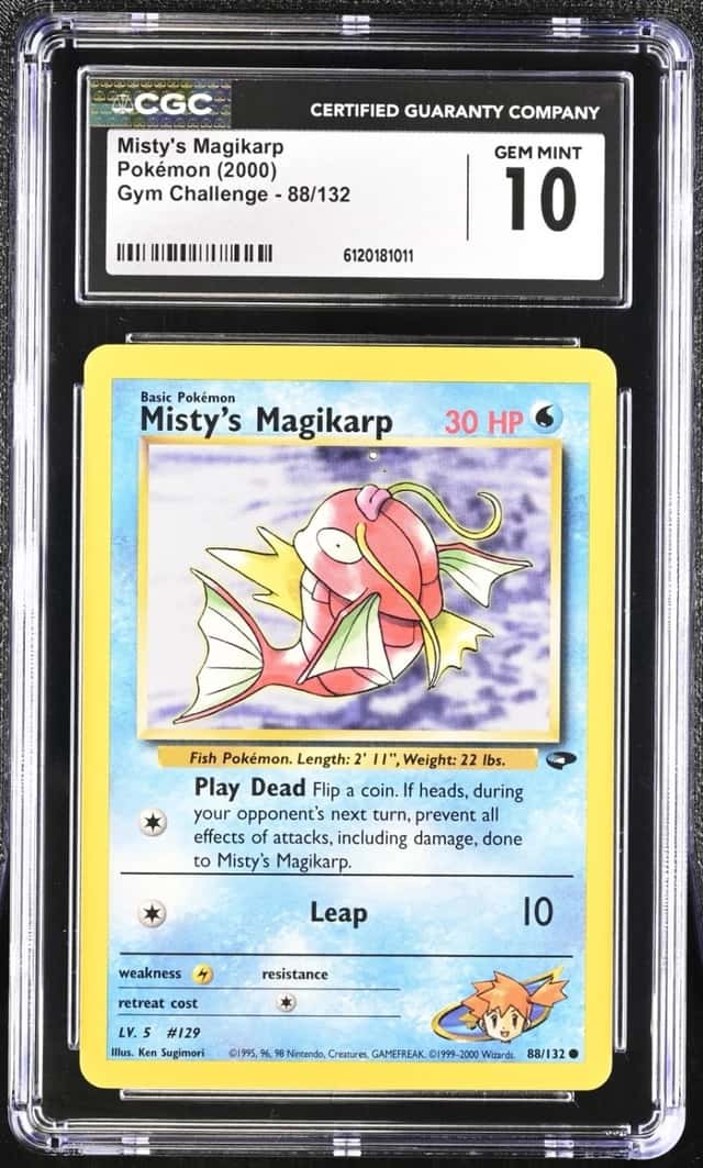 Misty's Magikarp