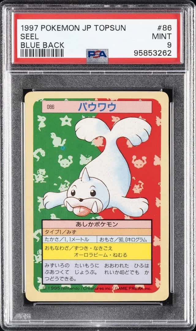 Seel