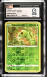 Caterpie