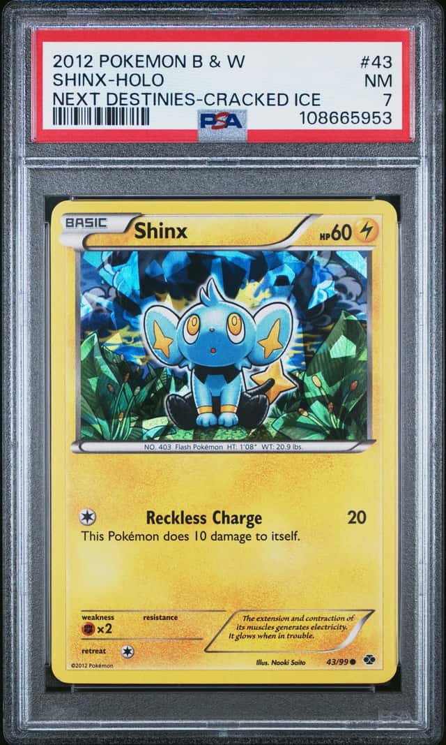 Shinx