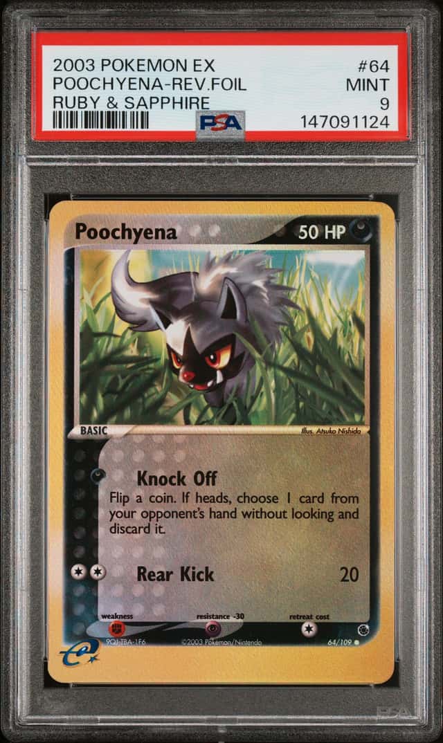 Poochyena