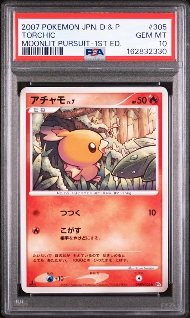 Torchic