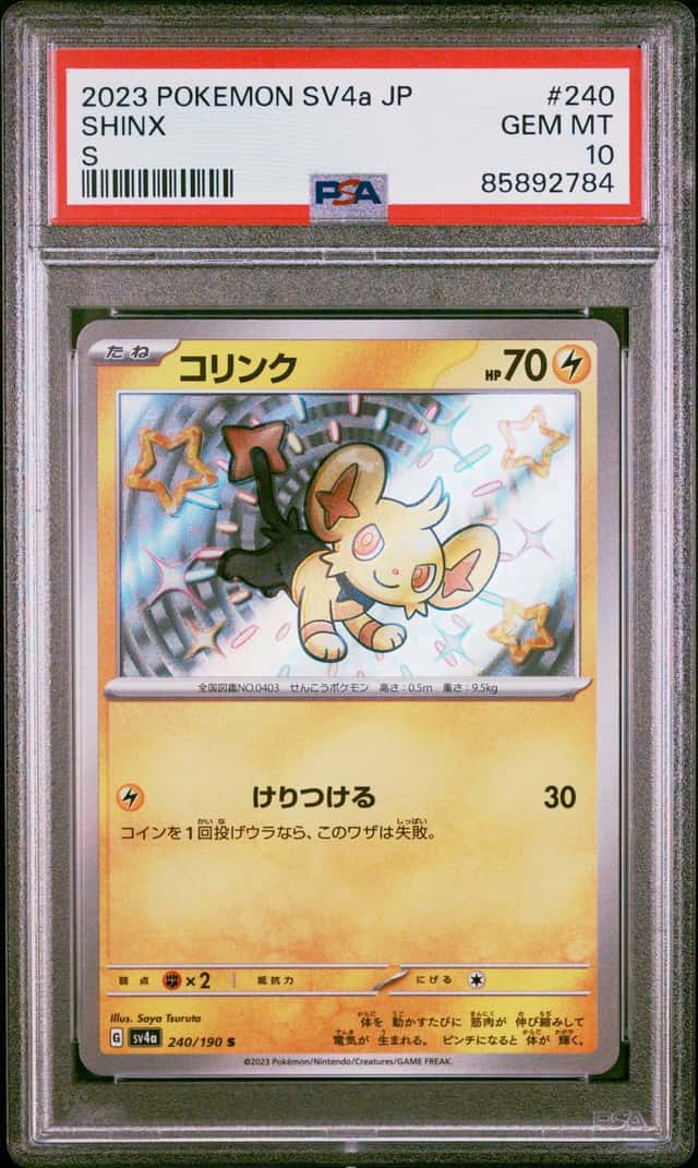 Shinx