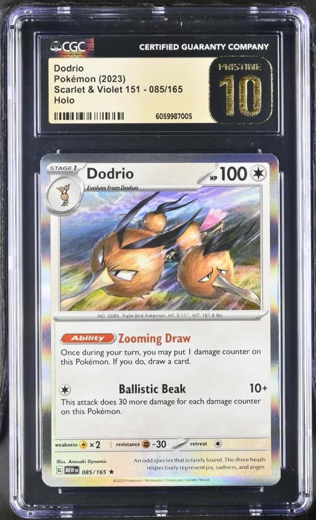 Dodrio