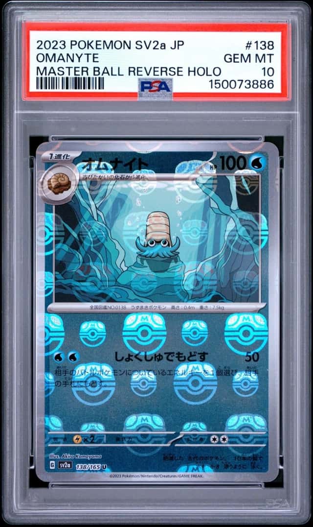 Omanyte