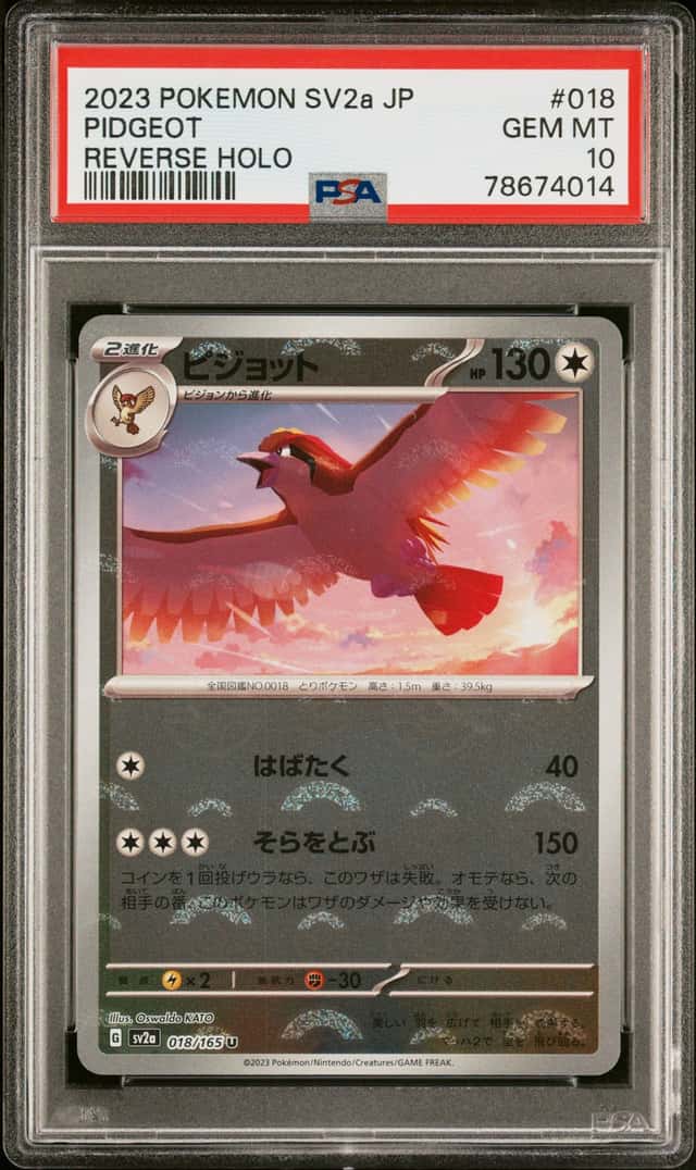 Pidgeot