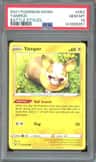 Yamper