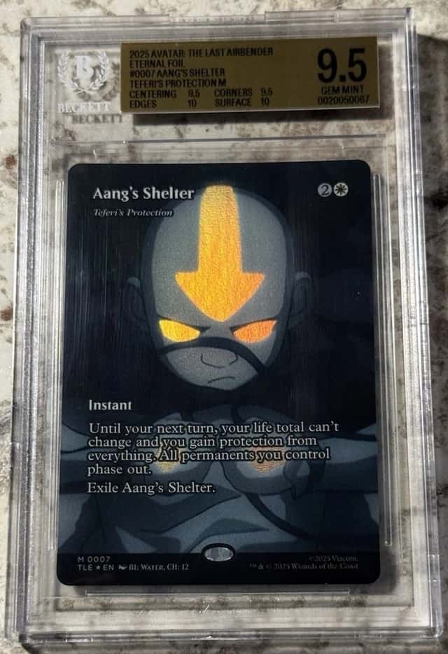 Aang's Shelter