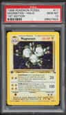 Magneton