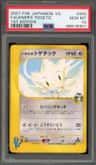 Falkner'S Togetic
