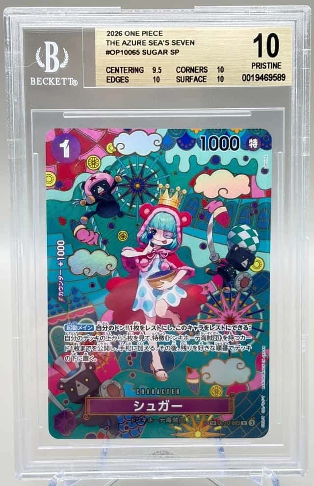 Sugar SP
