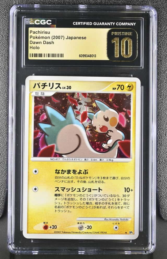 Pachirisu