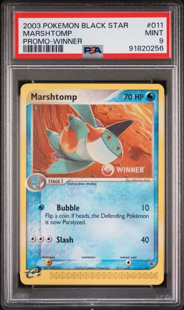 Marshtomp