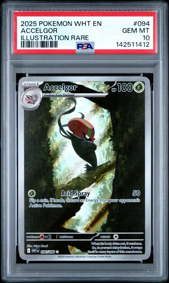 Accelgor