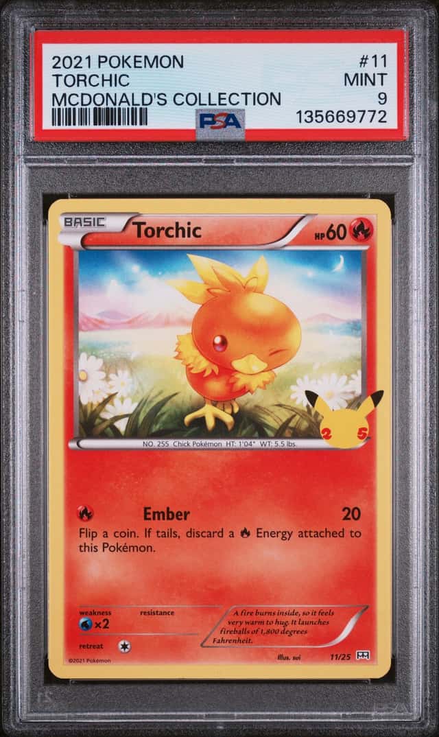 Torchic