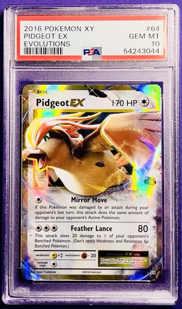 Pidgeot EX