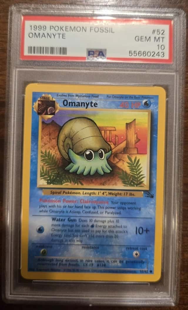 Omanyte