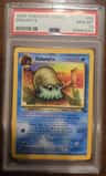 Omanyte