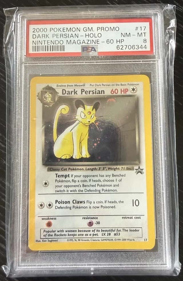 Dark Persian