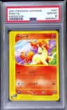 Ponyta