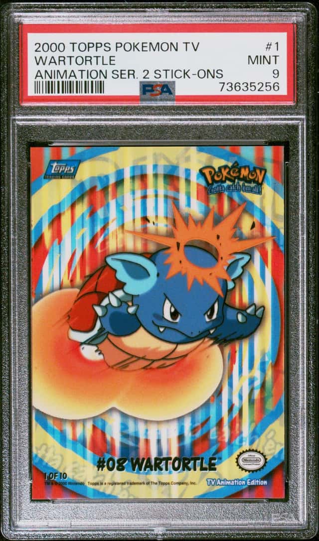 Wartortle