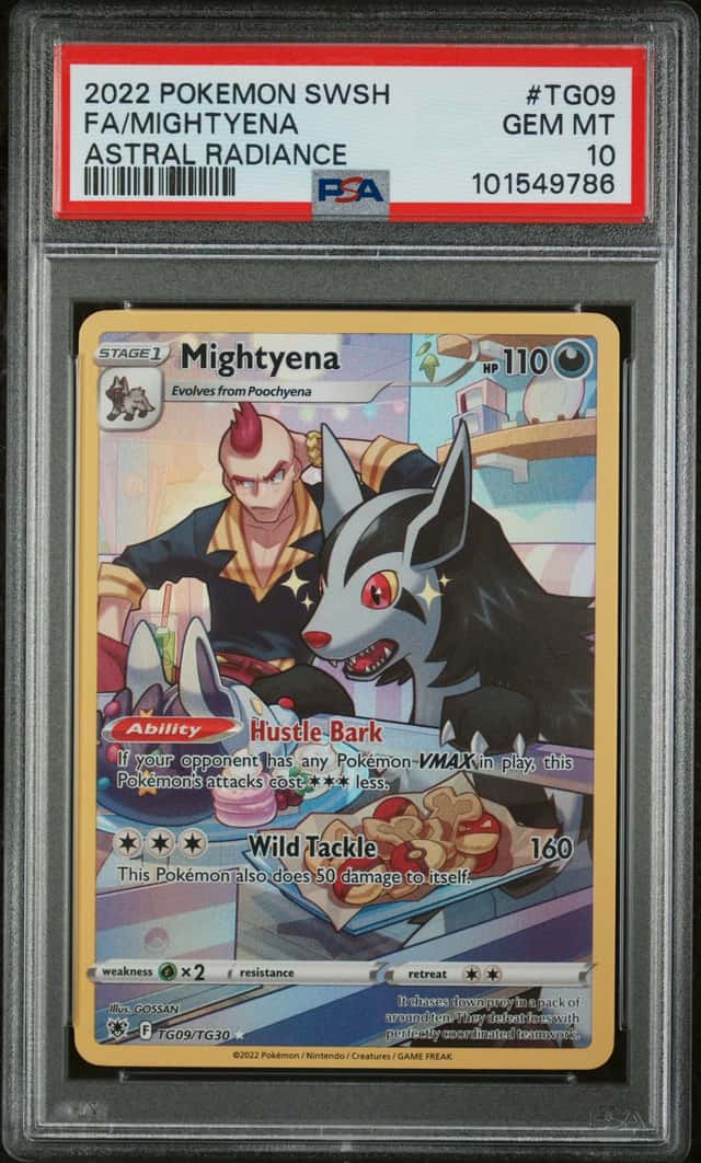 Mightyena