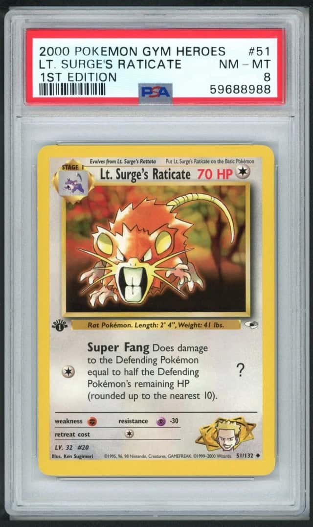 Lt. Surge's Raticate
